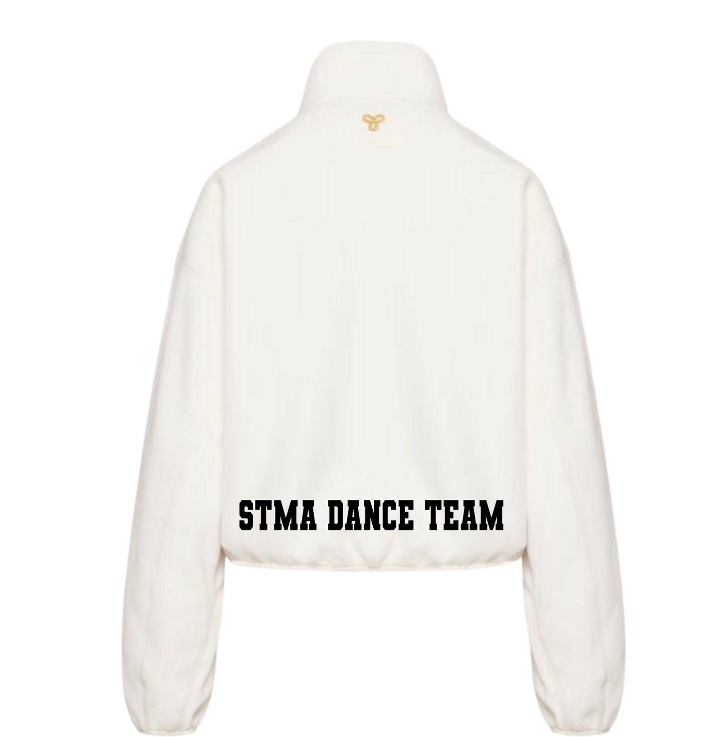 Aritzia Embroidered STMA Terrain Quarter Zip Mockneck