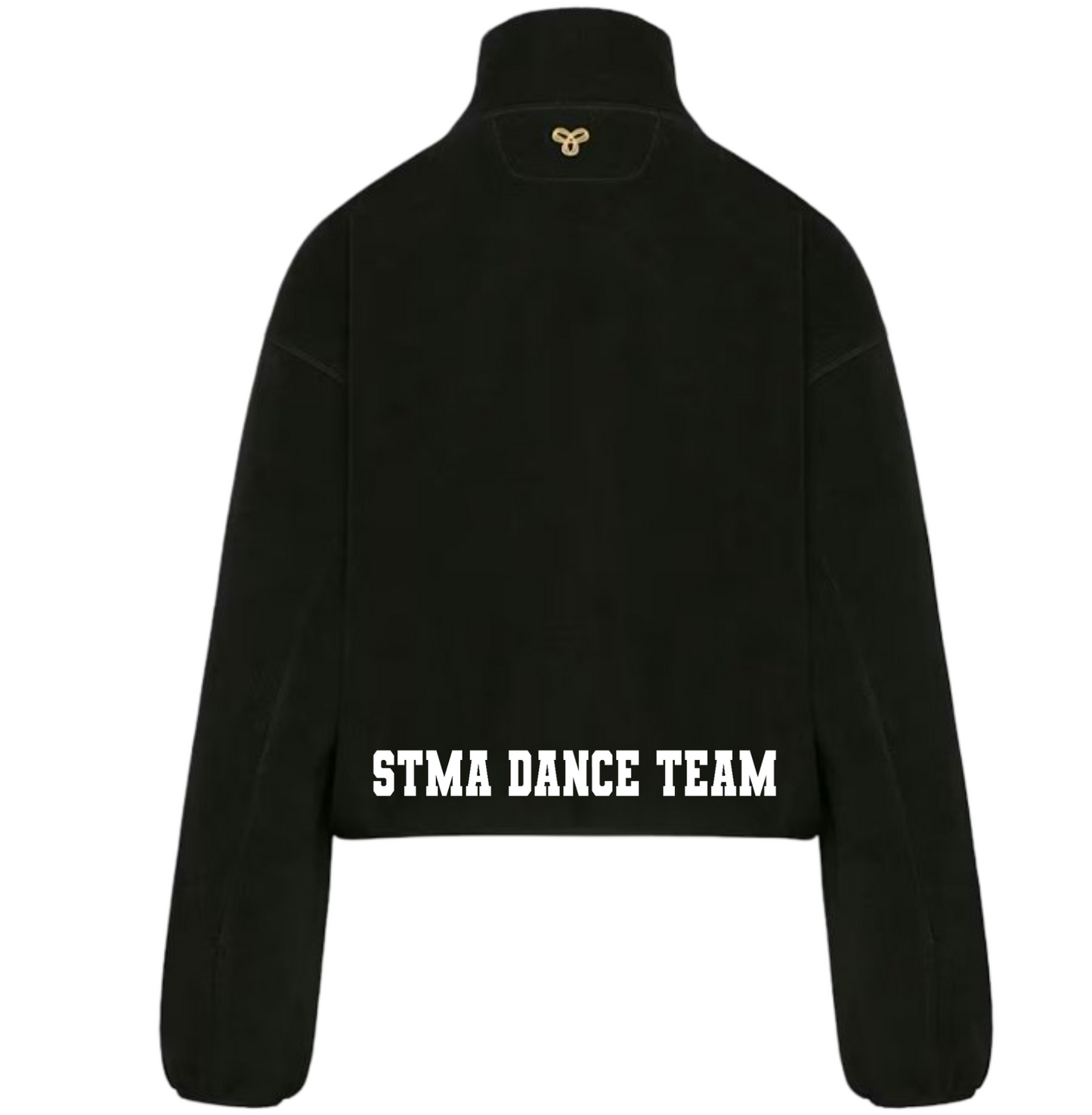 Aritzia Embroidered STMA Terrain Quarter Zip Mockneck