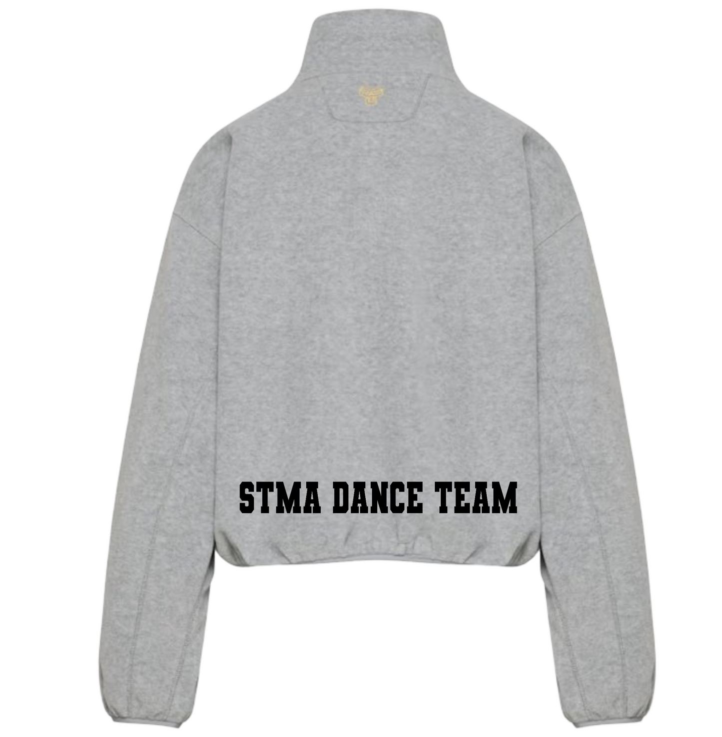 Aritzia Embroidered STMA Terrain Quarter Zip Mockneck