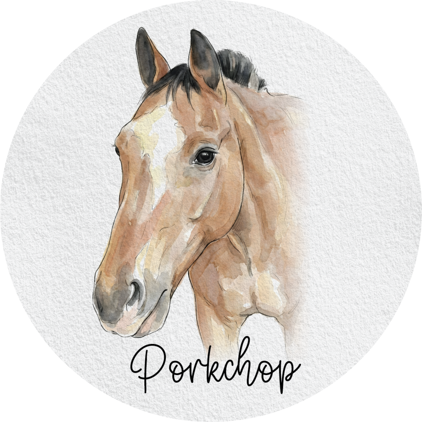 Boulder Pointe Water Color Vinyl Stickers (Perfect for Water Bottles)