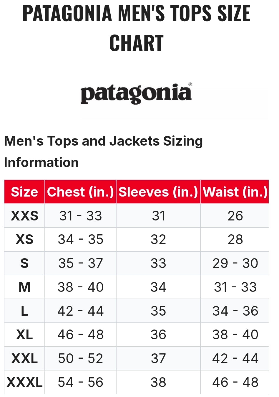 Lake Dental Patagonia embroidered Better Sweater