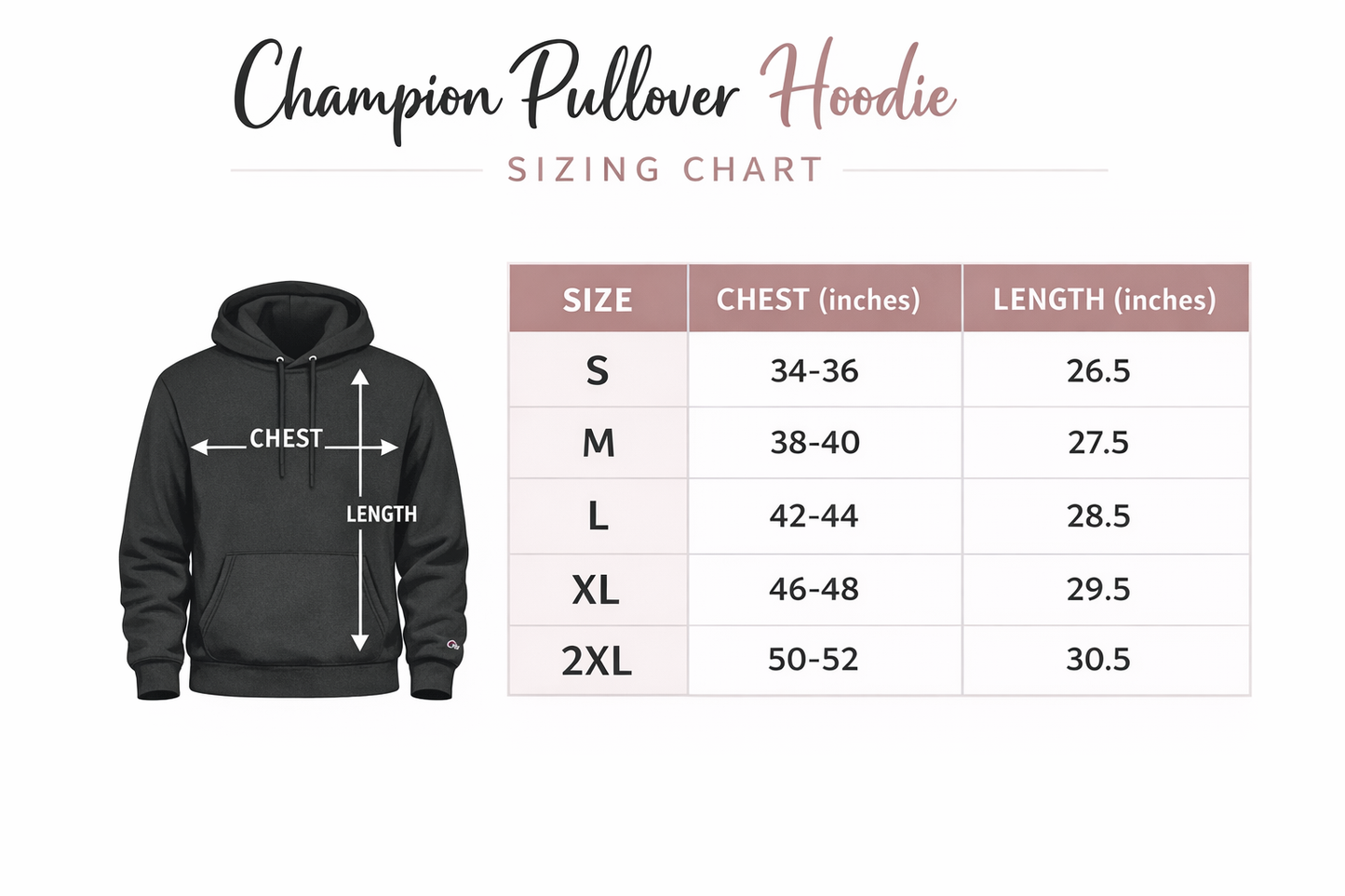 Bison 10,000 Puck Club Embroidered Champion Hoodie